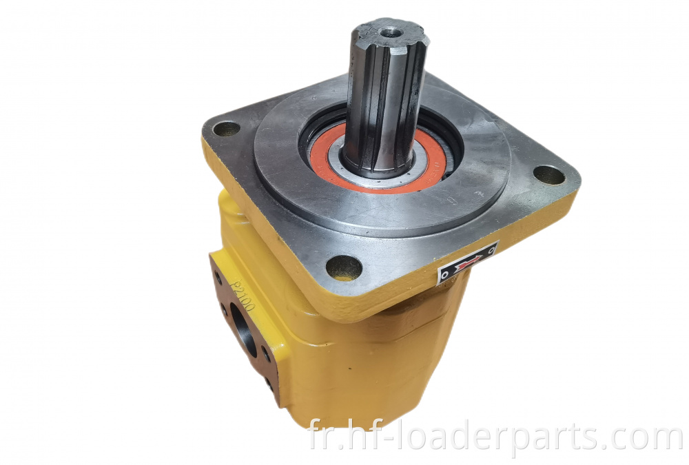 hydraulic gear pump